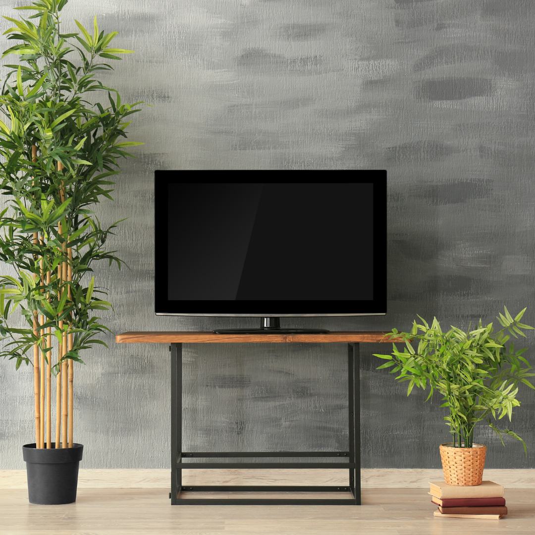 Conserto de TV de plasma